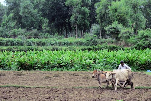eSIM for Bangladesh – travel photo 4