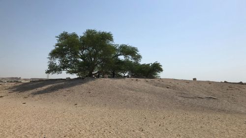 eSIM for Bahrain – travel photo 1