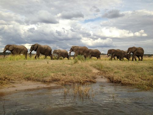 eSIM for Botswana – travel photo 2