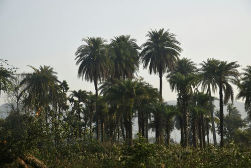 eSIM for Democratic Republic of the Congo – travel photo 2