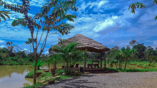eSIM for Cameroon – travel photo 2