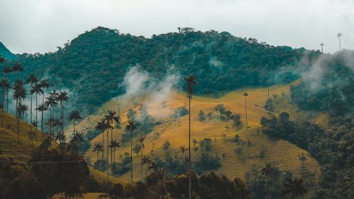 eSIM for Colombia – travel photo 1