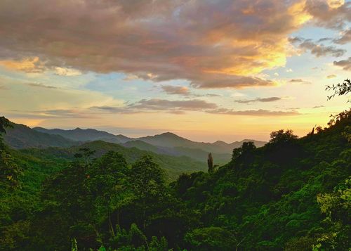 eSIM for Colombia – travel photo 2