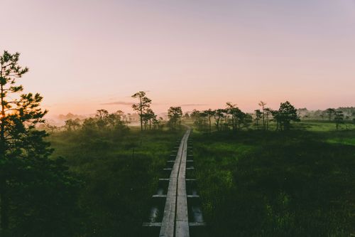 eSIM for Estonia – travel photo 1