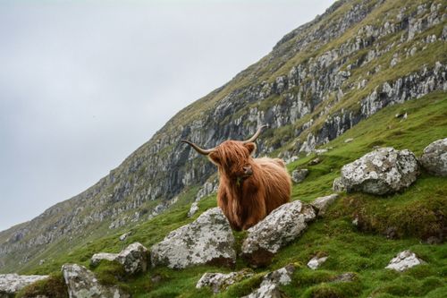 eSIM for Faroe Islands – travel photo 4