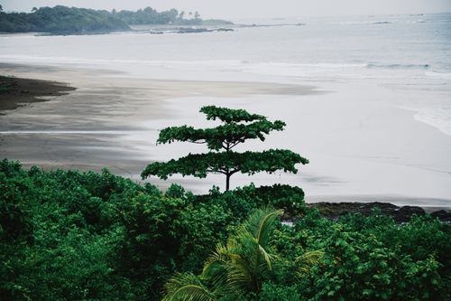 eSIM for French Guiana – travel photo 2