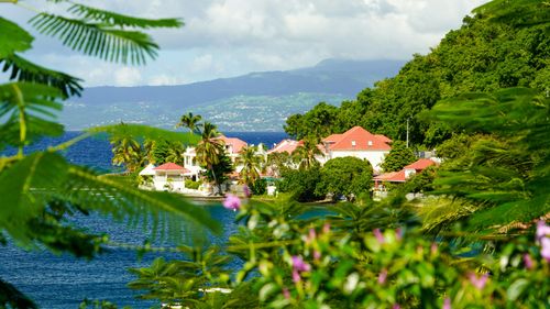 eSIM for Guadeloupe – travel photo 1