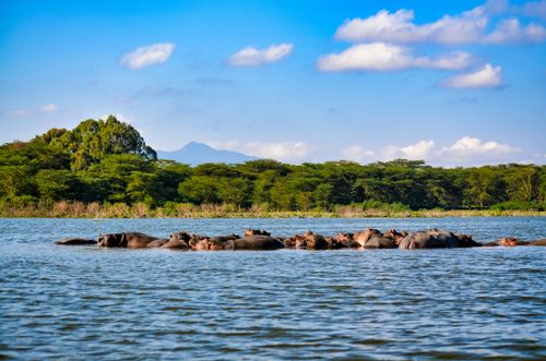 eSIM for Kenya – travel photo 4
