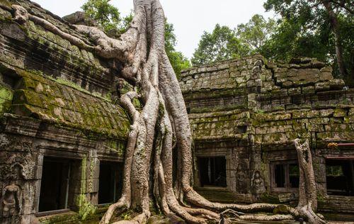 eSIM for Cambodia – travel photo 4
