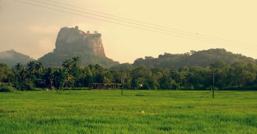 eSIM for Sri Lanka – travel photo 2