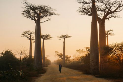 eSIM for Madagascar – travel photo 1