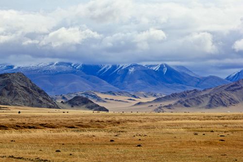 eSIM for Mongolia – travel photo 4