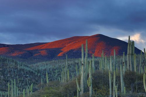 eSIM for Mexico – travel photo 3
