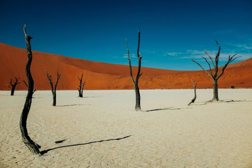 eSIM for Namibia – travel photo 4