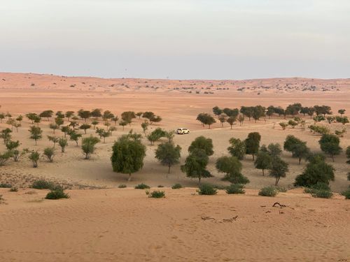 eSIM for Niger – travel photo 2