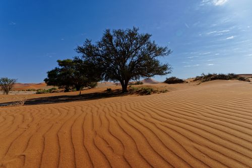 eSIM for Niger – travel photo 1