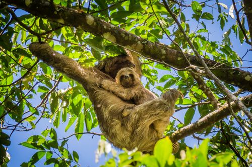 eSIM for Nicaragua – travel photo 1