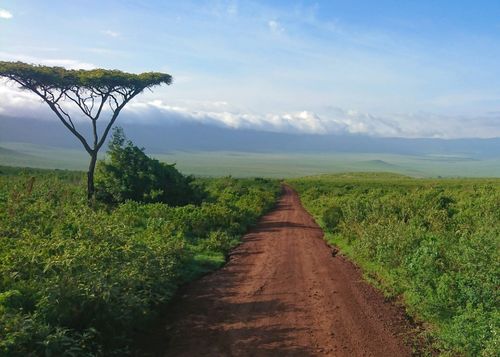eSIM for Tanzania – travel photo 2