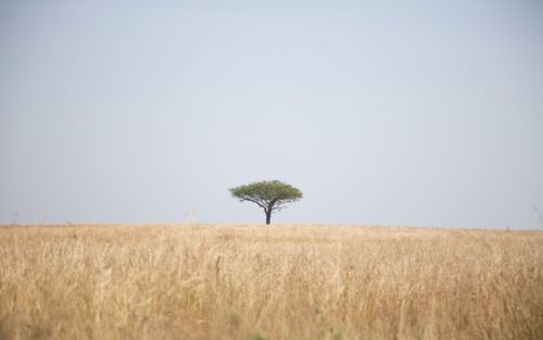 eSIM for Uganda – travel photo 2