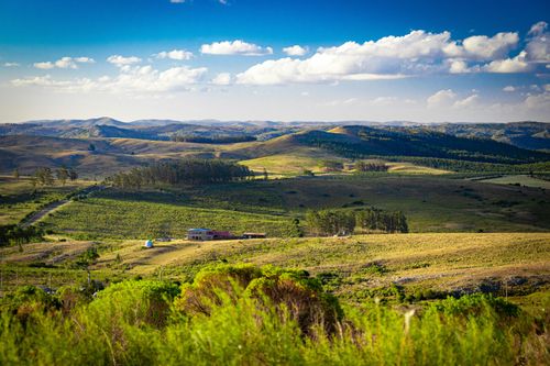 eSIM for Uruguay – travel photo 3