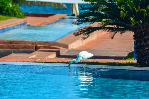 eSIM for Anguilla – travel photo 1