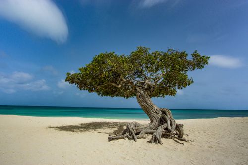 eSIM for Aruba – travel photo 3