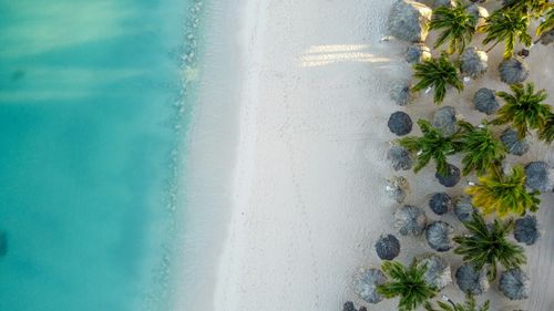 eSIM for Aruba – travel photo 1