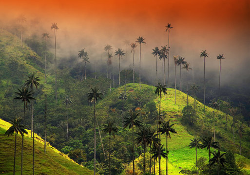 Colombia