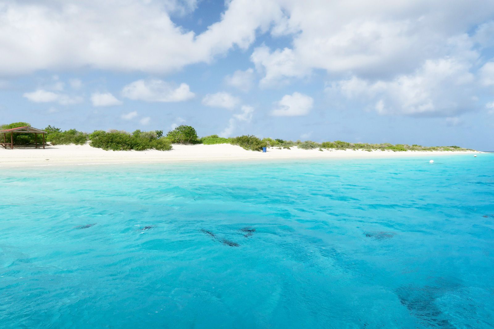 Bonaire, Sint Eustatius And Saba