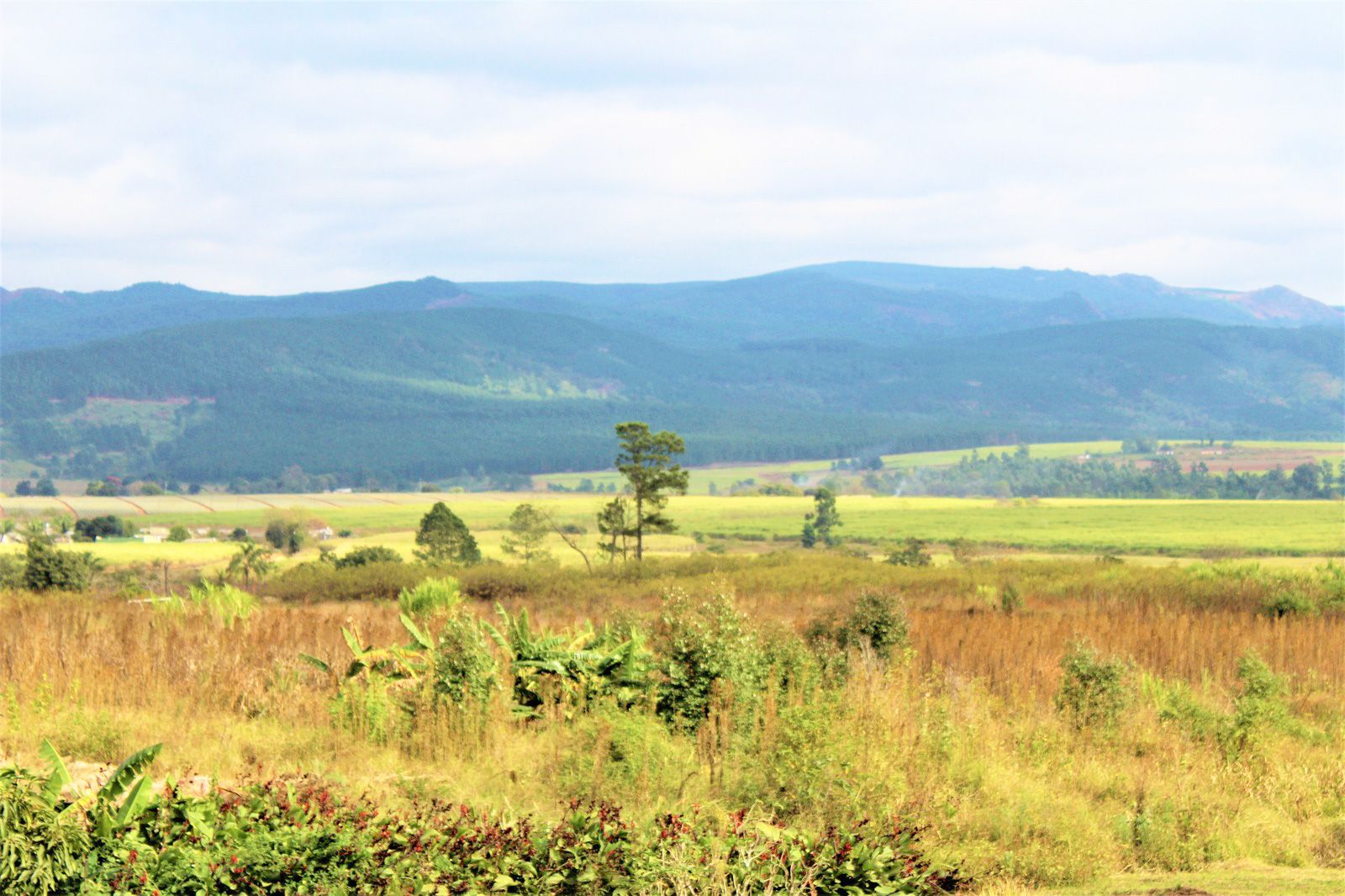 Swaziland
